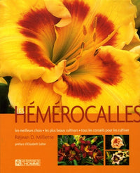 Les hémérocalles