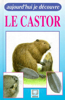 Le castor