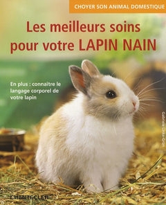 Les meilleurs soins pour votre lapin nain