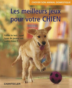 Les meilleurs jeux pour votre chien