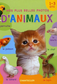 Mes plus belles photos d'animaux