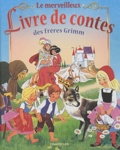 Le merveilleux livre de contes des frères Grimm