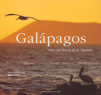 Galapagos : Nées du feu et de la légende