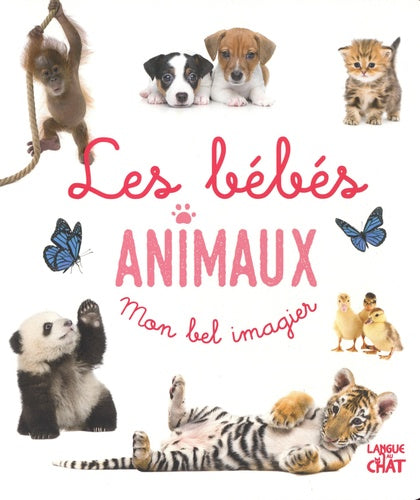 Mon bel imagier - Les bébés animaux