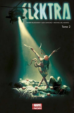 Mort à la guilde des assassins