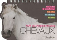 Mon calendrier passion chevaux