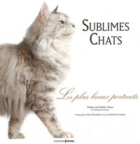 Chats