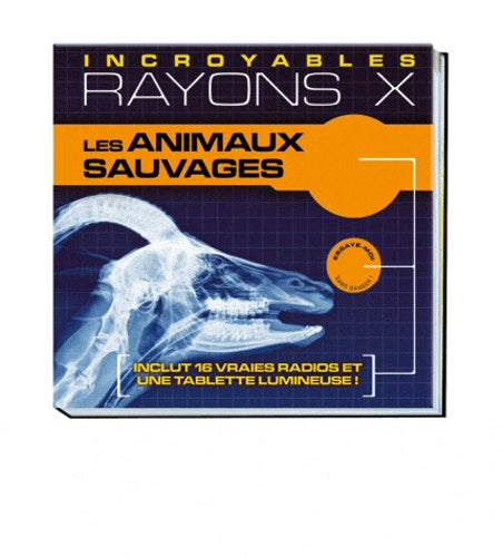 Les animaux sauvages - incroyables rayons X