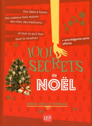 1001 secrets de noel ned