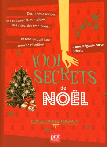 1001 secrets de noel ned
