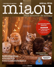 Miaou spécial noël