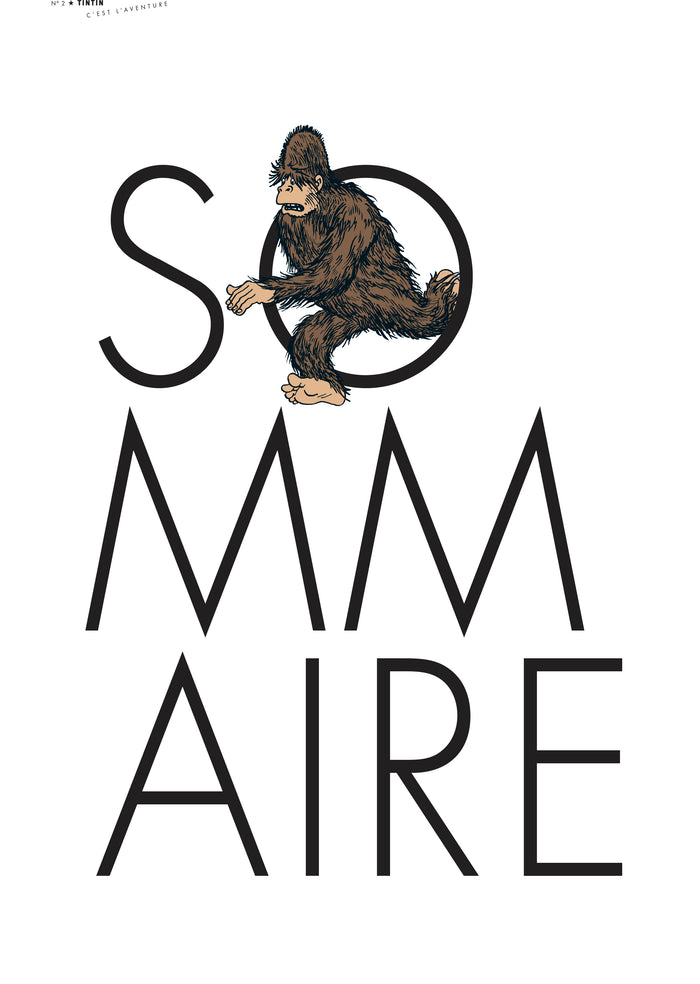 Tintin c'est l'aventure n°2 - Îles