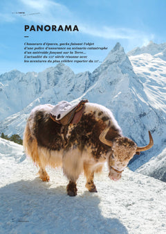 Tintin c'est l'aventure n°2 - Îles