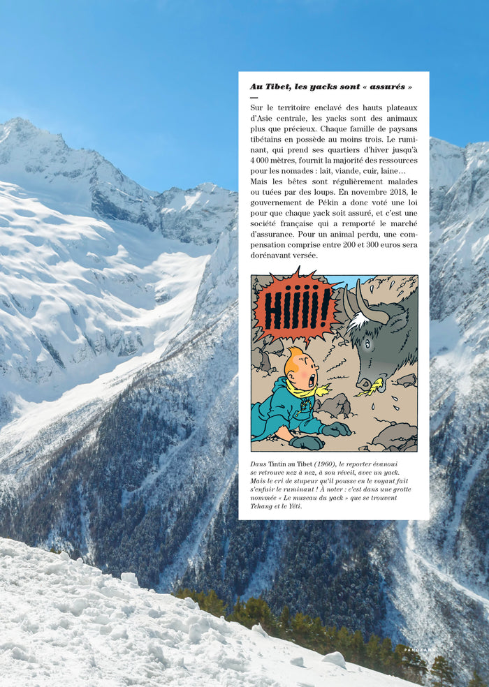 Tintin c'est l'aventure n°2 - Îles