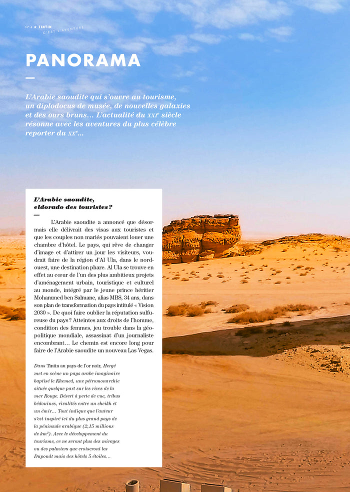 Tintin - C'est l'aventure 4