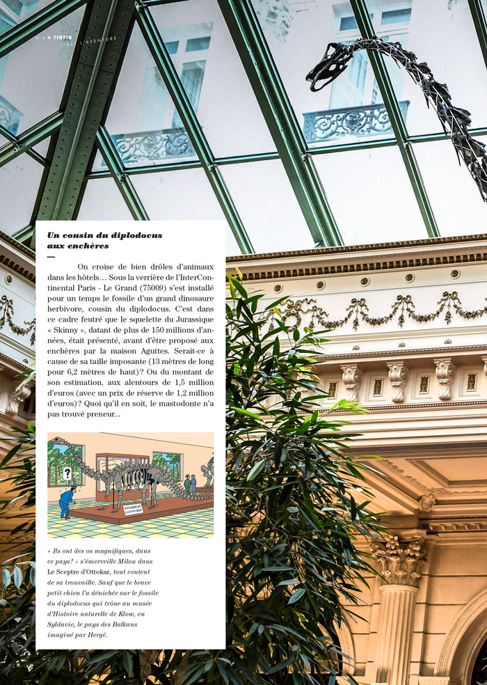 Tintin - C'est l'aventure 4