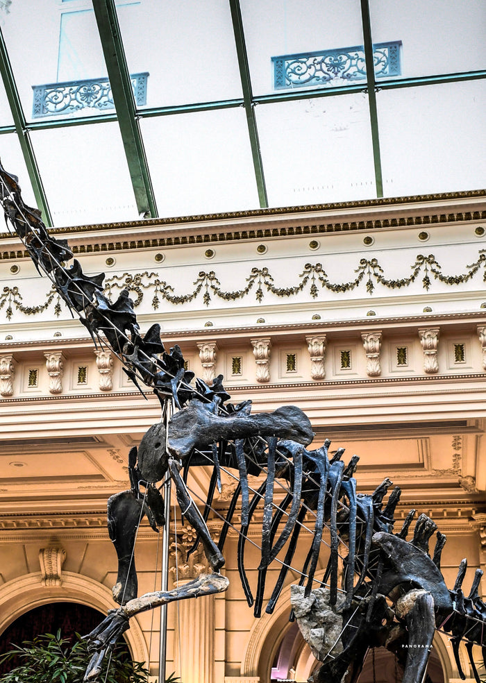 Tintin - C'est l'aventure 4