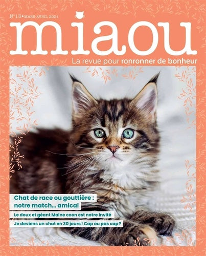 Miaou n°13