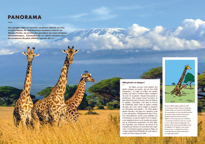 Tintin c'est l'aventure n°16 -  Écosse, terre de mystères