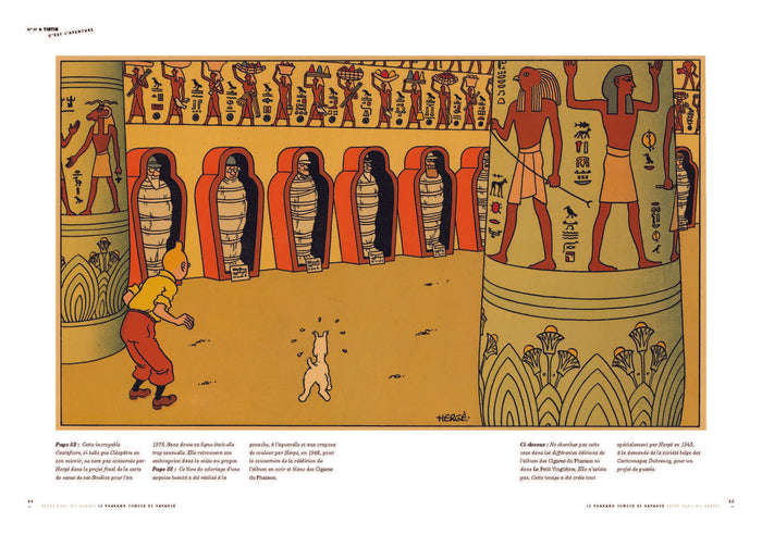 Tintin c'est l'aventure n°17 - Égypte, trésors enfouis