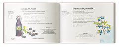 Recettes d'Auvergne