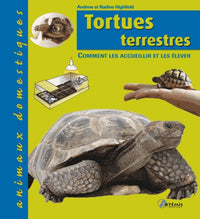Tortues terrestres: Comment les accueillir et les élever