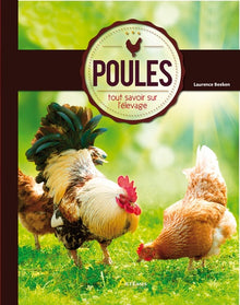 Poules, tout savoir sur l'élevage