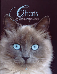 Chats : un univers fabuleux