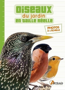Les oiseaux du jardin en taille réelle