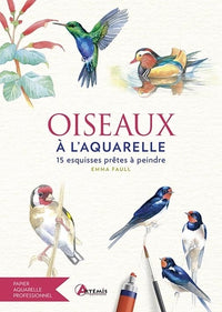 Oiseaux à l'aquarelle