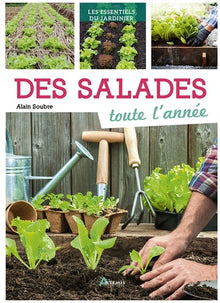 Salades toute l'année