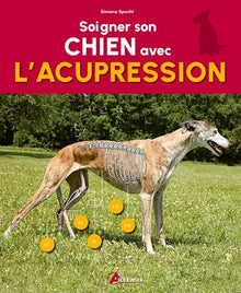 Soigner son chien avec l'acupression