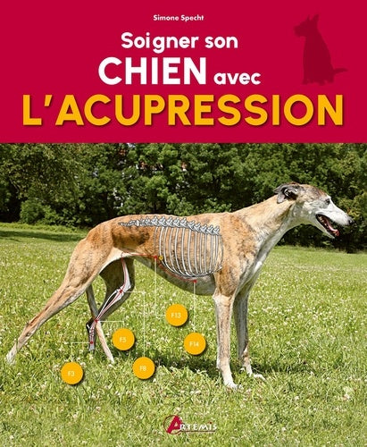 Soigner son chien avec l'acupression