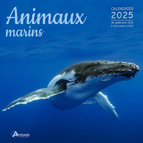 Calendrier animaux marins 2025