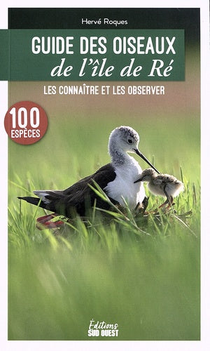 Guide des oiseaux de l'île de Ré