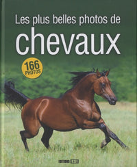 PLUS BELLES PHOTOS DE CHEVAUX (LES)