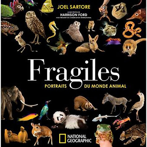 Fragiles - portraits du monde animal