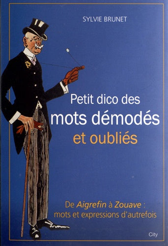 Petit dictionnaire des mots démodés et oubliés