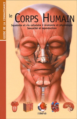 Le corps humain