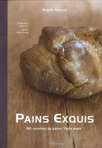 Pains exquis: 80 recettes de pains "faits main"
