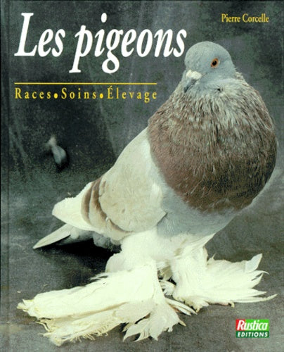 Les pigeons : races, soins, élevage