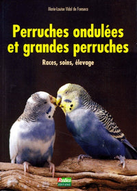 Perruches ondulées et grandes perruches