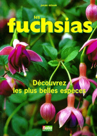 Les fuchsias