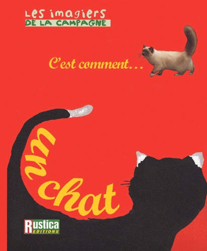 C'est comment... un chat