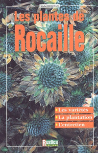 plantes de rocaille