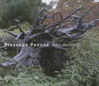 Arbre des voyelles