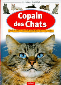 Copain des chats