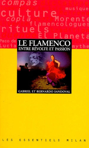 Le flamenco, entre révolte et passion
