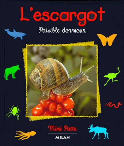 L'escargot paisible dormeur