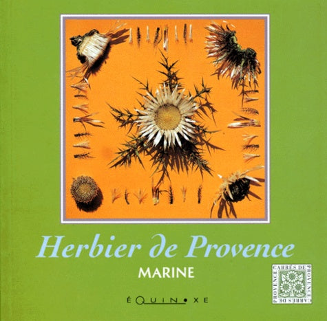 Herbier de Provence